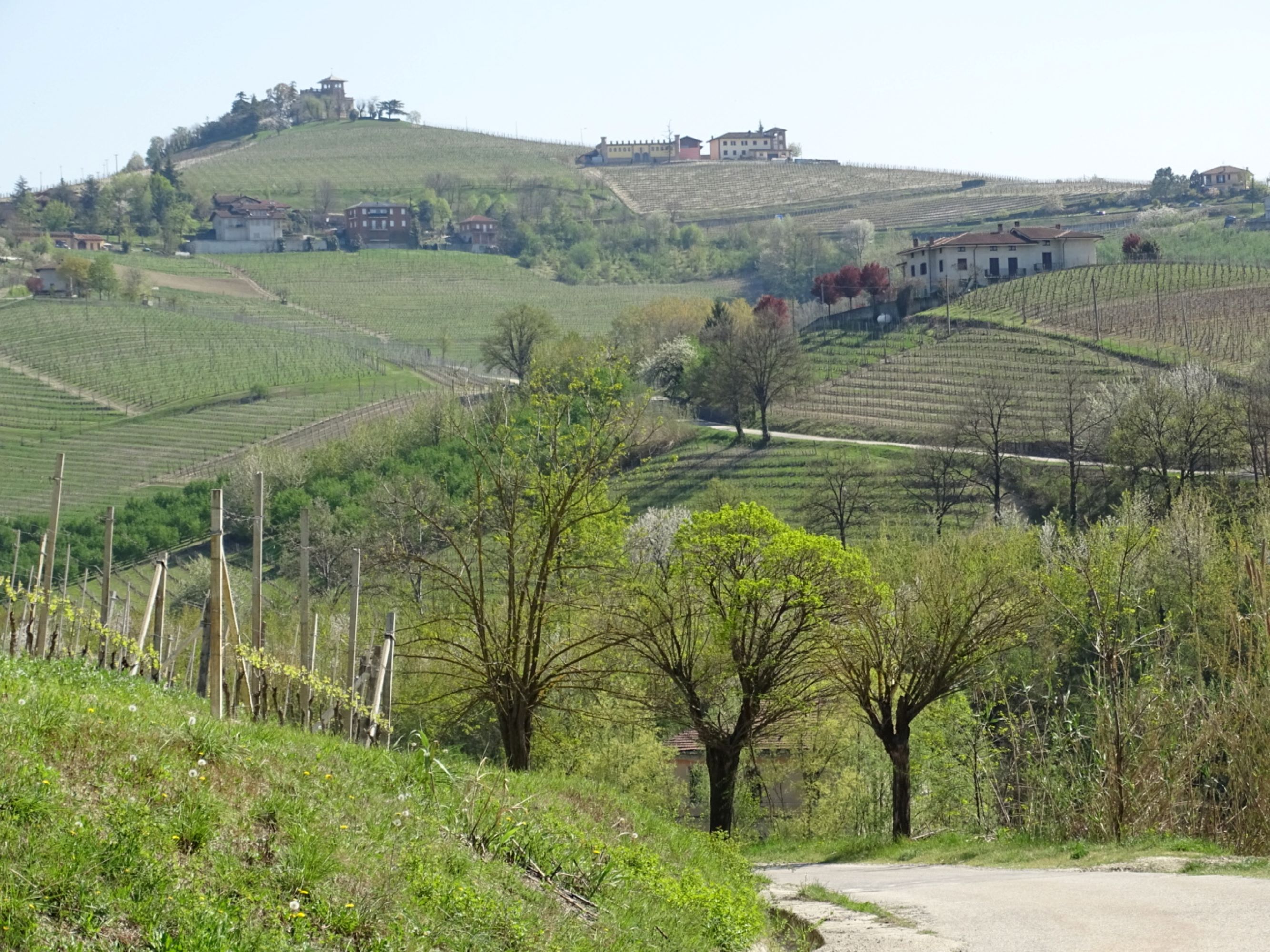 Vinmarker i Barbaresco